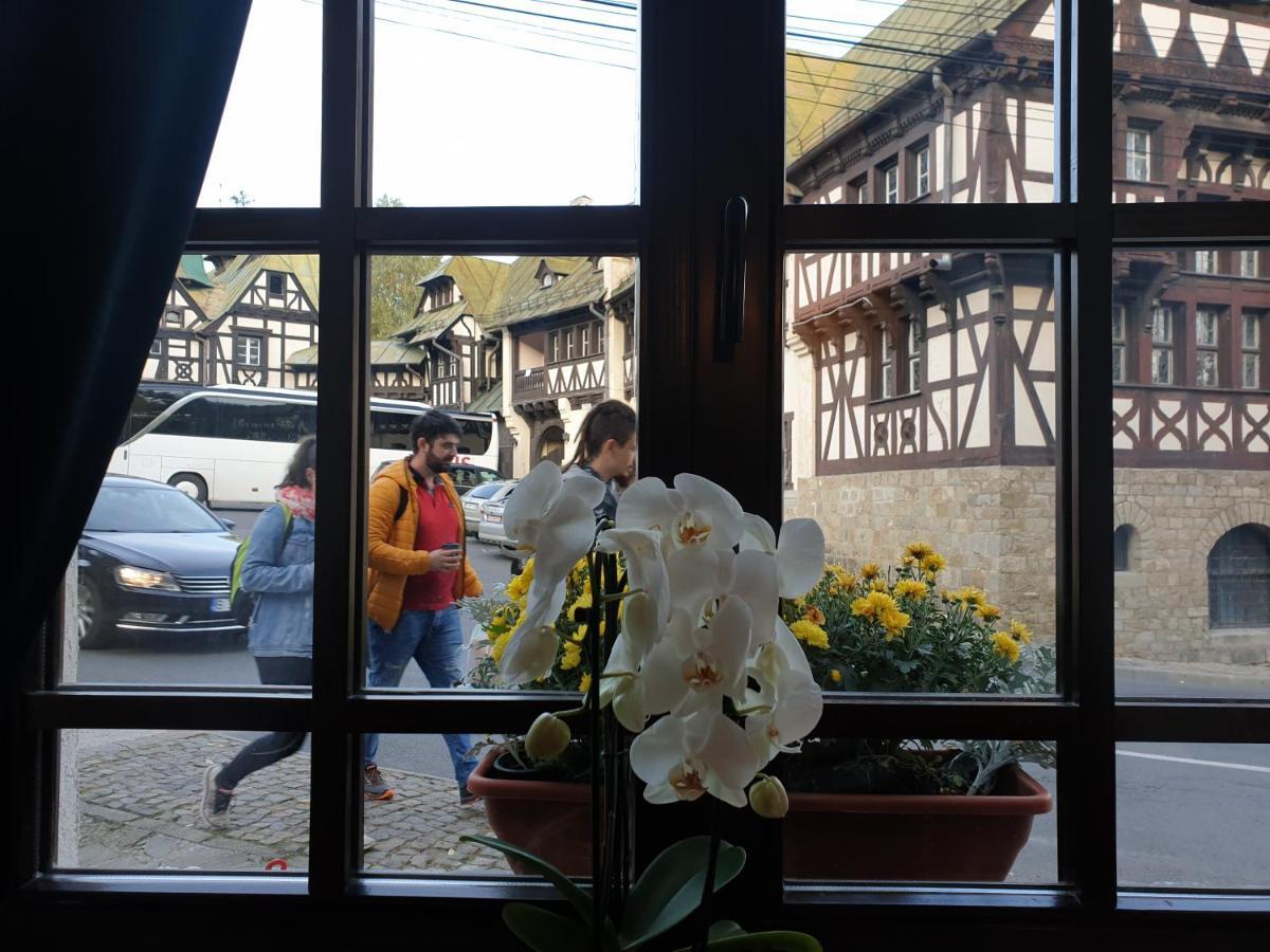 Hotel Boutique Vila Lakastel シナヤ エクステリア 写真